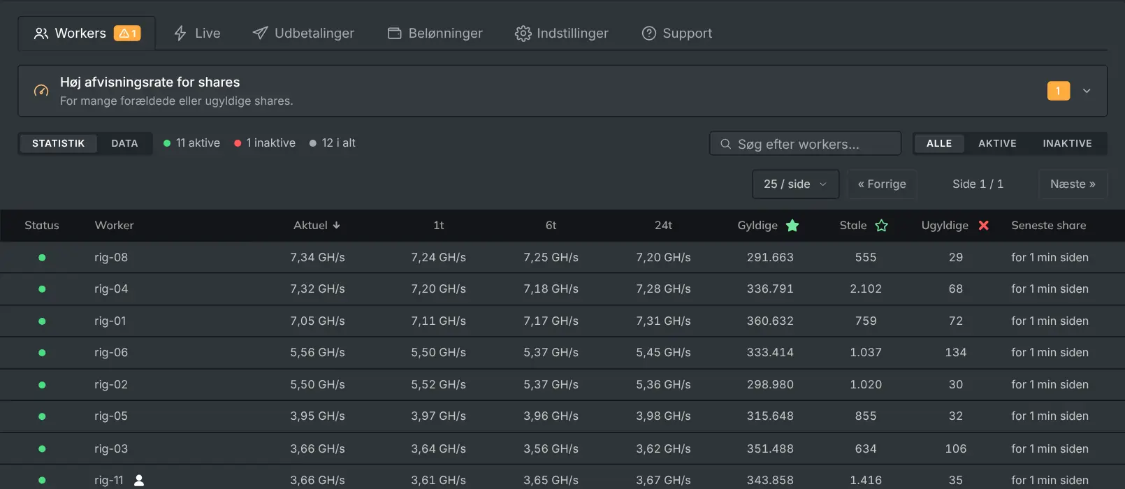 Fanen Workers, der viser hver rig med dens hashrate og shares