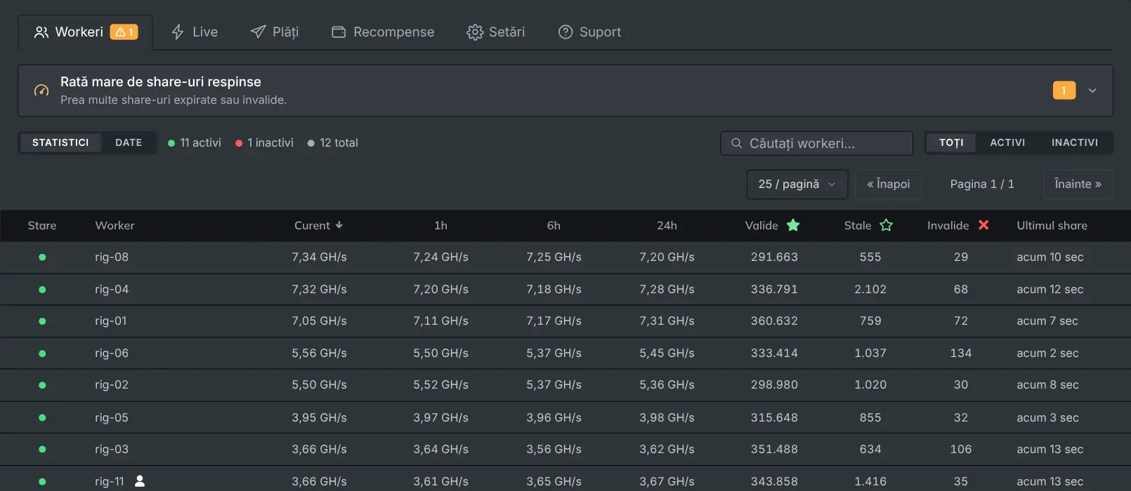 Fila Workeri, care listează fiecare rig cu hashrate-ul și share-urile lui