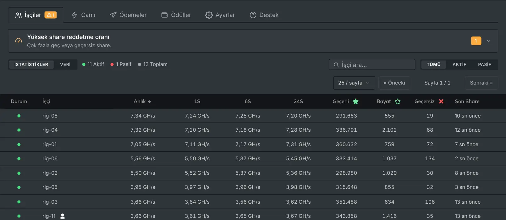 Her rig'i hashrate'i ve share'leriyle listeleyen İşçiler sekmesi
