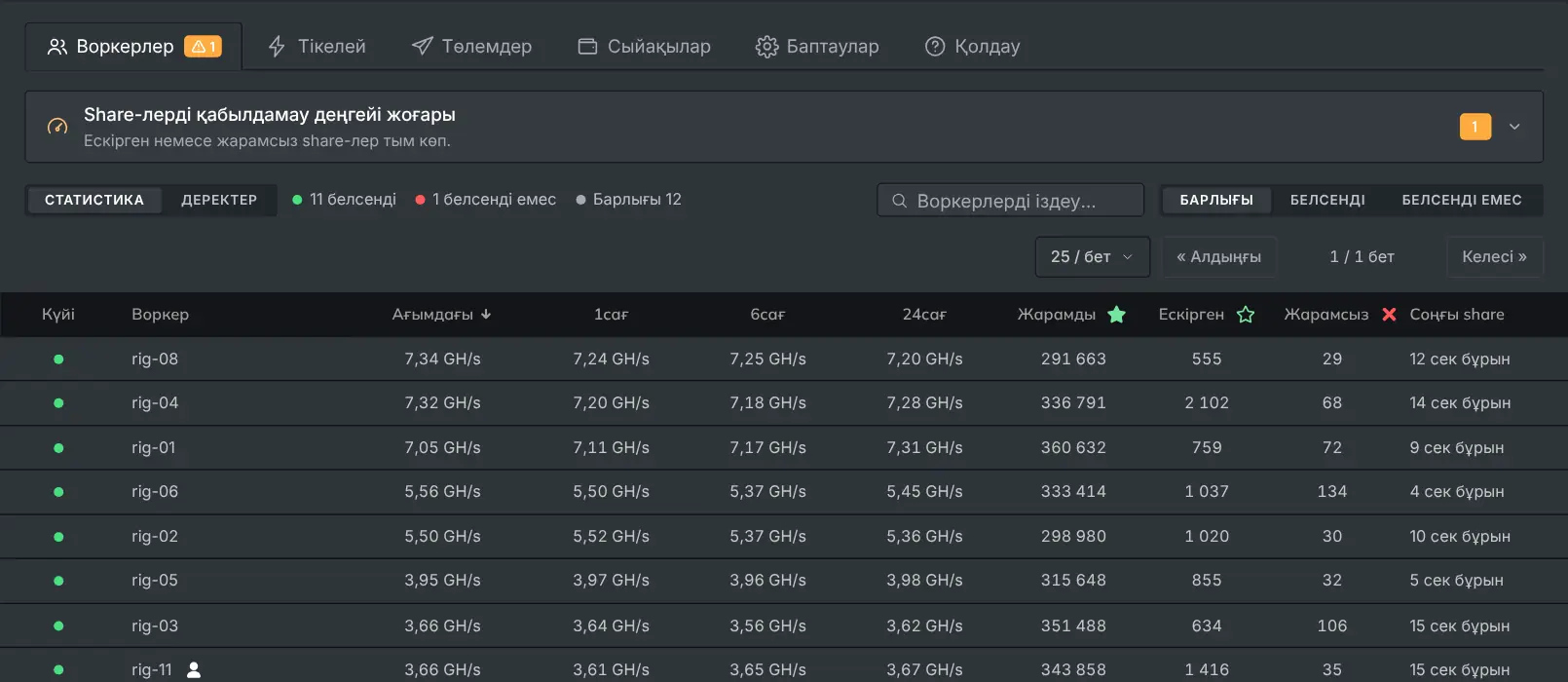 Әр ригті хешрейті мен share-лерімен көрсететін воркерлер қойындысы
