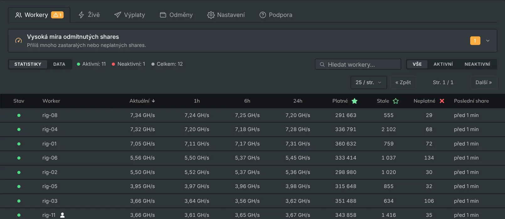 Karta workerů se seznamem jednotlivých rigů s jejich hashrate a shares